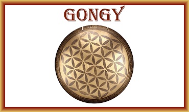 E-shop Gongy